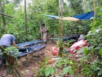 08-tambopada-1421-amazonien-2013