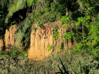 08-tambopada-1452-amazonien-2013