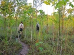 08-tambopada-1463-amazonien-2013