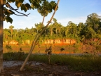08-tambopada-1468-amazonien-2013