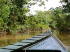 09-lago-valencia-1594-amazonien-2013