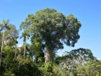 09-rio-heath-1742-amazonien-2013