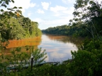 09-rio-heath-1759-amazonien-2013