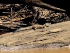 09-rio-heath-madidi-1786-amazonien-2013