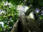 09-rio-heath-madidi-1795-amazonien-2013
