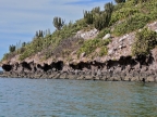 mexiko-2012-tag-06-topolobampo-0739