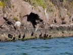 mexiko-2012-tag-06-topolobampo-0742