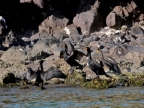 mexiko-2012-tag-06-topolobampo-0743