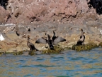 mexiko-2012-tag-06-topolobampo-0744