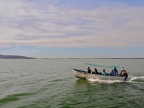 mexiko-2012-tag-06-topolobampo-0772