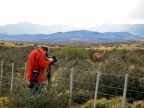 torres_del_paine_012
