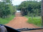14-urubu-2497-amazonien-2013