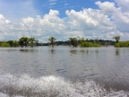 14-urubu-2517-amazonien-2013