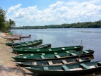 14-urubu-2528-amazonien-2013