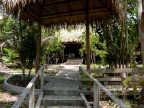 14-urubu-2532-amazonien-2013