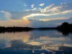 14-urubu-2608-amazonien-2013