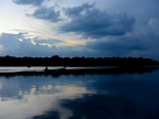 14-urubu-2619-amazonien-2013