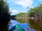 14-urubu-2704-amazonien-2013