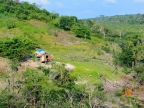 14-urubu-2709-amazonien-2013