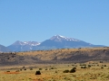 USA 2014 04 Fahrt Kayenta 0096