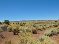 USA 2014 04 Fahrt Kayenta 0097