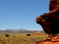 USA 2014 04 Fahrt Kayenta 0106
