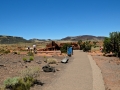 USA 2014 04 Fahrt Kayenta 0107