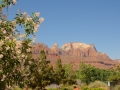 USA 2014 07 Fahrt Zion 0199