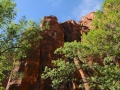 USA 2014 07 Fahrt Zion 0202