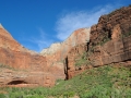 USA 2014 07 Fahrt Zion 0208