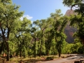 USA 2014 07 Fahrt Zion 0209