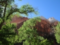 USA 2014 07 Fahrt Zion 0212