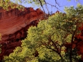USA 2014 07 Fahrt Zion 0214