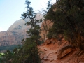 USA 2014 07 Fahrt Zion 0217