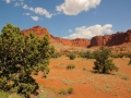USA 2014 10 Fahrt Moab - Arches 254