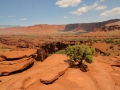 USA 2014 10 Fahrt Moab - Arches 264