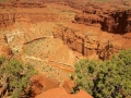 USA 2014 10 Fahrt Moab - Arches 265