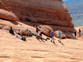 USA 2014 11 Arches NP 333