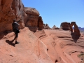 USA 2014 11 Arches NP 341