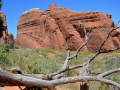 USA 2014 11 Arches NP 352