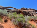 USA 2014 11 Arches NP 359