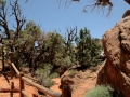 USA 2014 11 Arches NP 365
