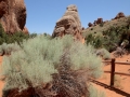USA 2014 11 Arches NP 366