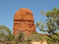 USA 2014 11 Arches NP 397