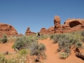 USA 2014 11 Arches NP 398
