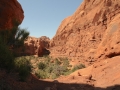 USA 2014 11 Arches NP 401