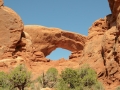 USA 2014 11 Arches NP 413