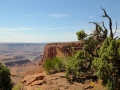 USA 2014 12 Fahrt Dover Creek - Canyonlands 420