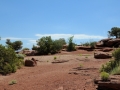 USA 2014 12 Fahrt Dover Creek - Canyonlands 427