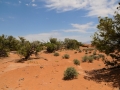 USA 2014 12 Fahrt Dover Creek - Canyonlands 433
